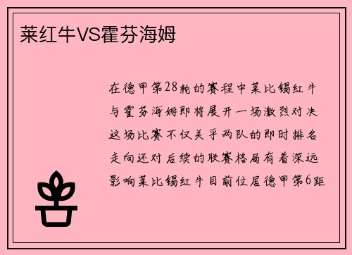 莱红牛VS霍芬海姆